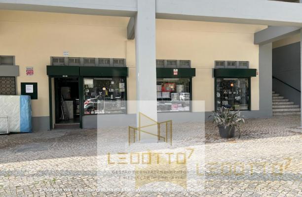 vista frontal